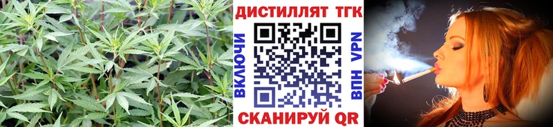 закладка  Невинномысск  гидра ссылки  ТГК THC oil 