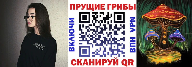 Галлюциногенные грибы MAGIC MUSHROOMS  Невинномысск 